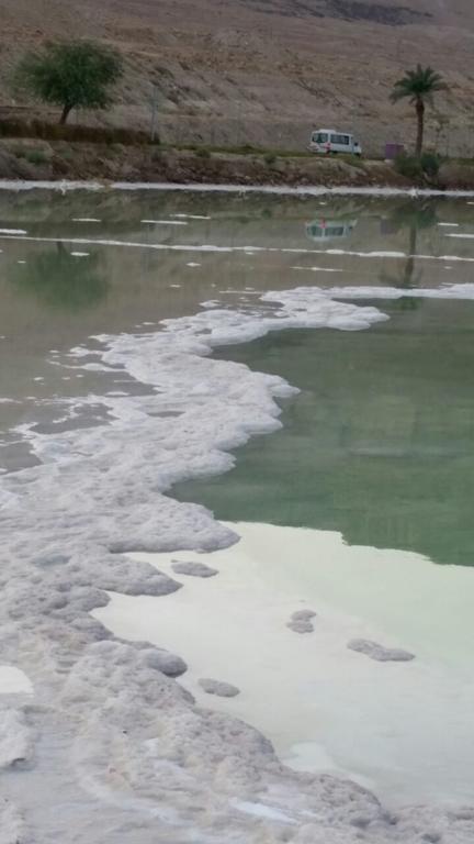 Rose Dead Sea Neve Zohar Hotel Exterior photo